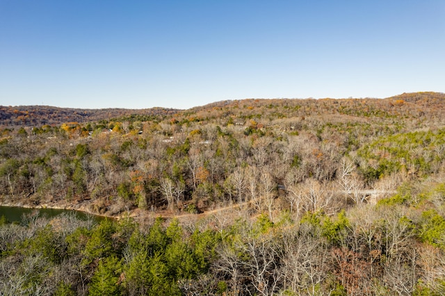 view of mountain feature