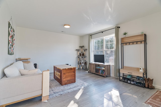 living room with light wood-type flooring