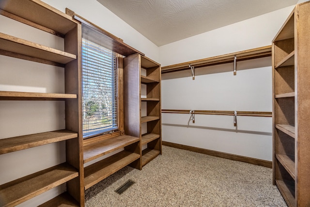 spacious closet featuring light colored carpet