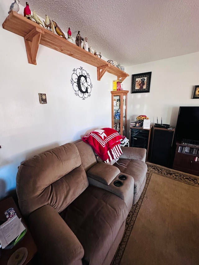 living room with a textured ceiling