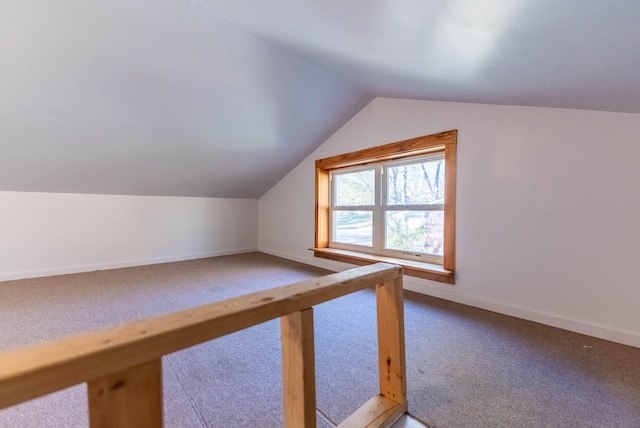 additional living space with carpet and lofted ceiling