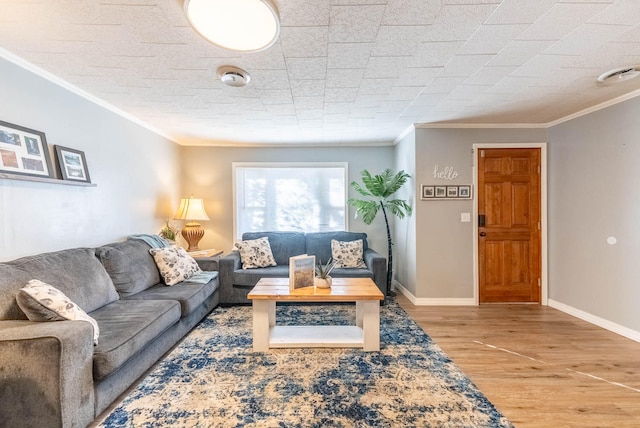 living room featuring crown molding and light wood-type flooring