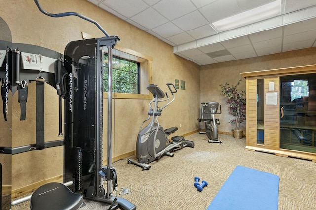 exercise room with a paneled ceiling and carpet flooring