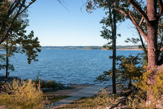 property view of water