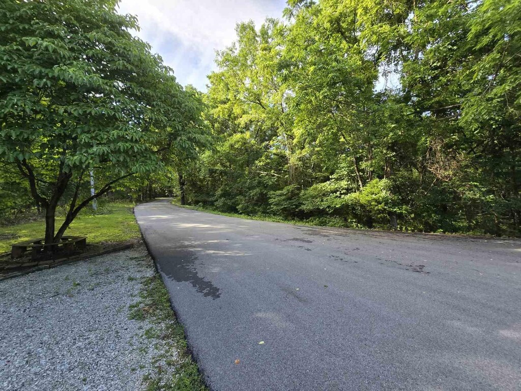 LOT11 Tower Rd, Highlandville, MO 65669