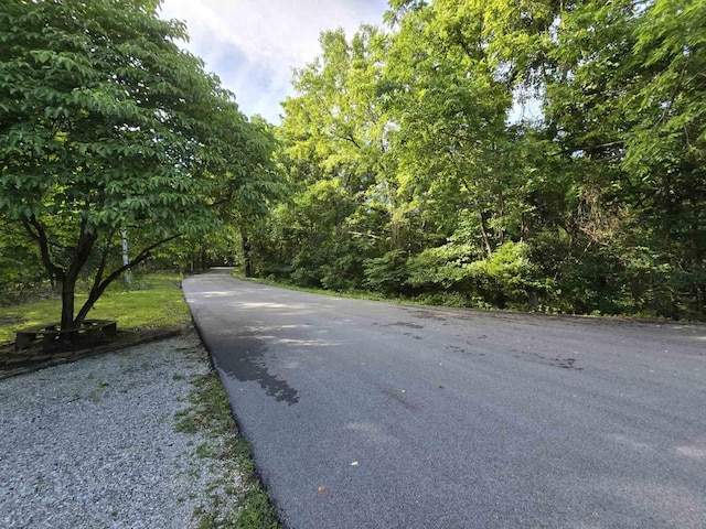 LOT11 Tower Rd, Highlandville, MO 65669