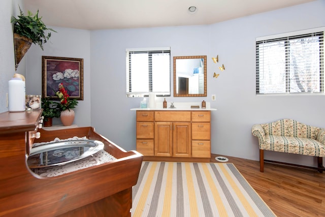 living area featuring sink and light hardwood / wood-style flooring