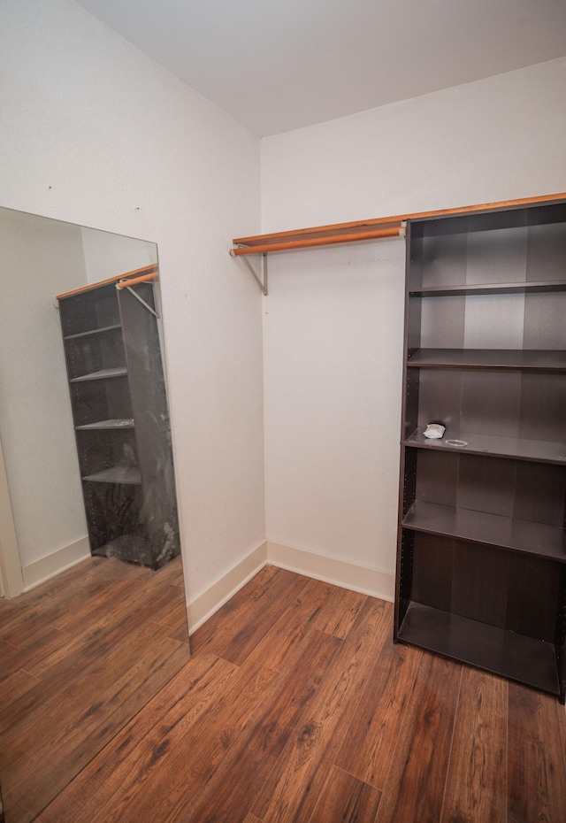 spacious closet featuring dark wood-type flooring