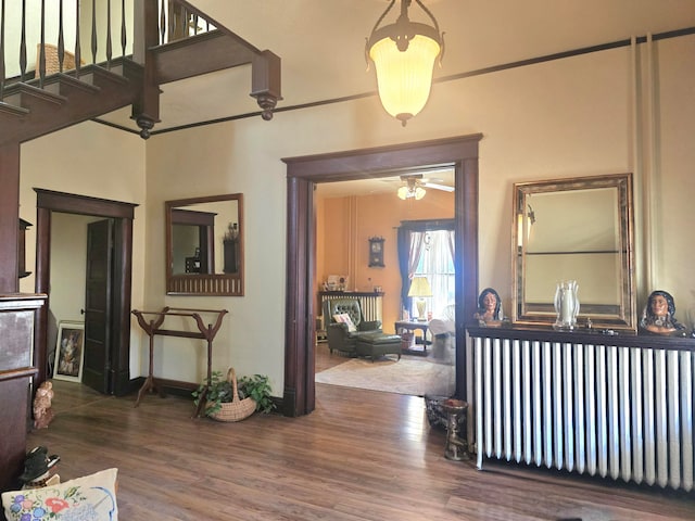 foyer featuring ceiling fan and dark hardwood / wood-style flooring