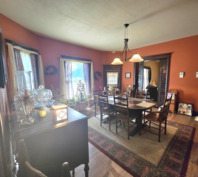 dining space featuring dark hardwood / wood-style flooring, a healthy amount of sunlight, and a textured ceiling