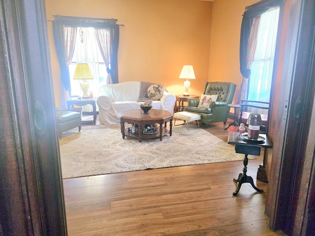 living room featuring hardwood / wood-style floors