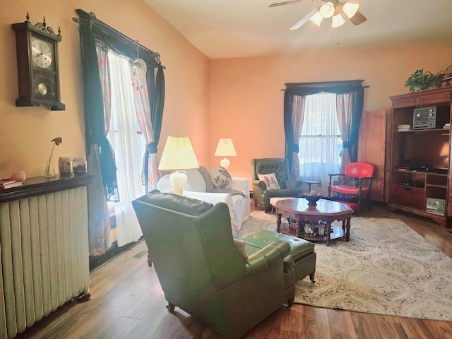 living room featuring ceiling fan, radiator heating unit, and hardwood / wood-style floors