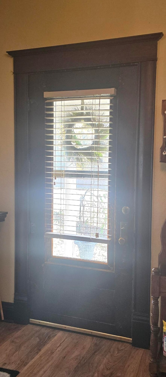 doorway featuring dark hardwood / wood-style floors