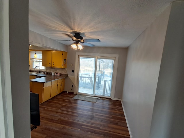 kitchen featuring plenty of natural light, ceiling fan, sink, and dark wood-type flooring