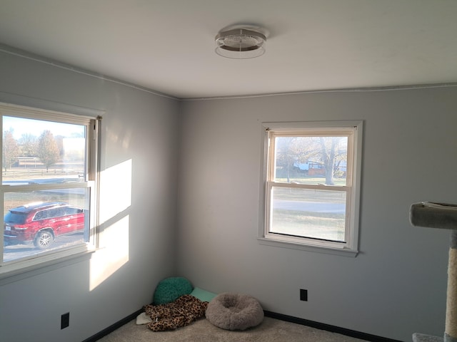 interior space featuring carpet flooring and a healthy amount of sunlight