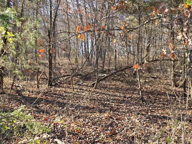 LOT6 Fraker Rd, Buffalo, MO 65622