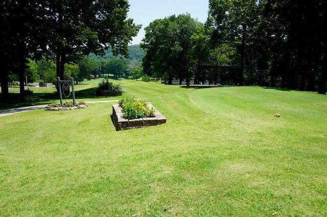 189 Avondale Dr Unit 10, Branson, MO 65616 - photo 43