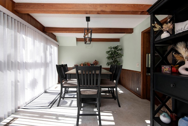 carpeted dining room featuring beamed ceiling and wood walls