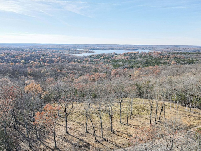 000 County Road 245, Pittsburg MO, 65724 land for sale