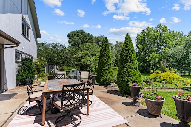 view of patio / terrace with a shed