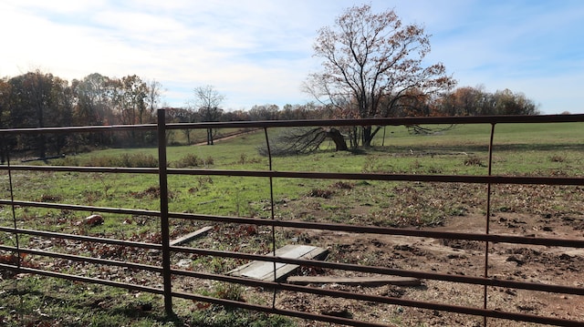 view of gate with a rural view