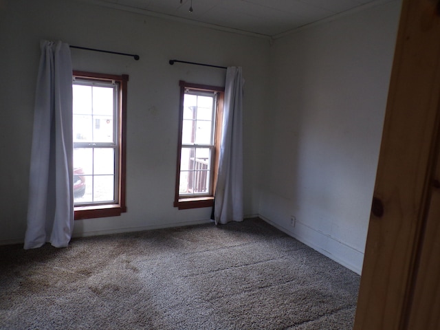 unfurnished room featuring carpet flooring and a wealth of natural light