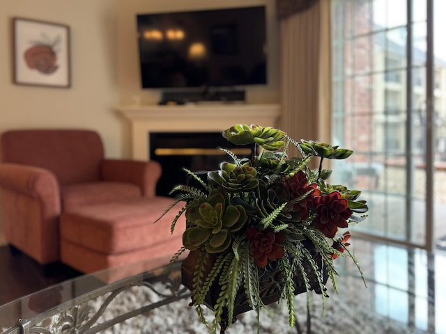 3830 Green Mountain Dr Unit 104, Branson, MO 65616 - view of living room