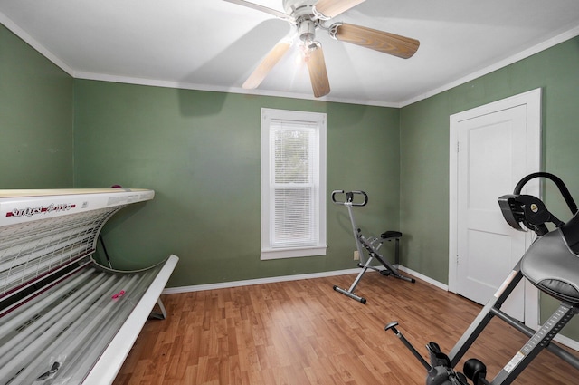 exercise room with crown molding and hardwood / wood-style flooring