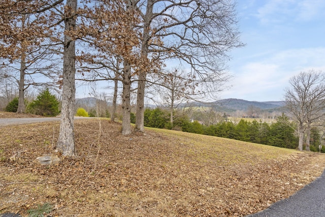 Listing photo 2 for LOT26 Ranch Rd, Saddlebrooke MO 65630