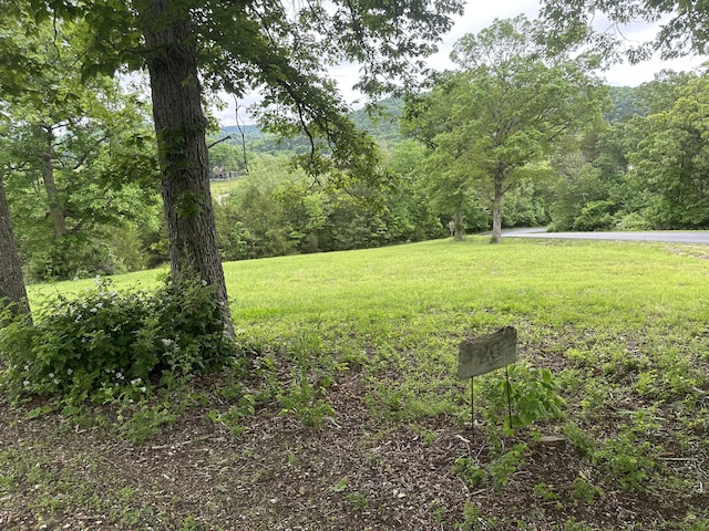 LOT26 Ranch Rd, Saddlebrooke, MO 65630