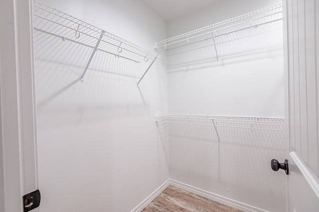 spacious closet featuring wood-type flooring