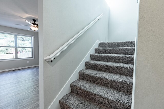 staircase with wood-type flooring and ceiling fan