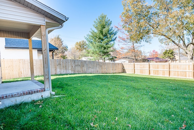 view of yard featuring a patio area