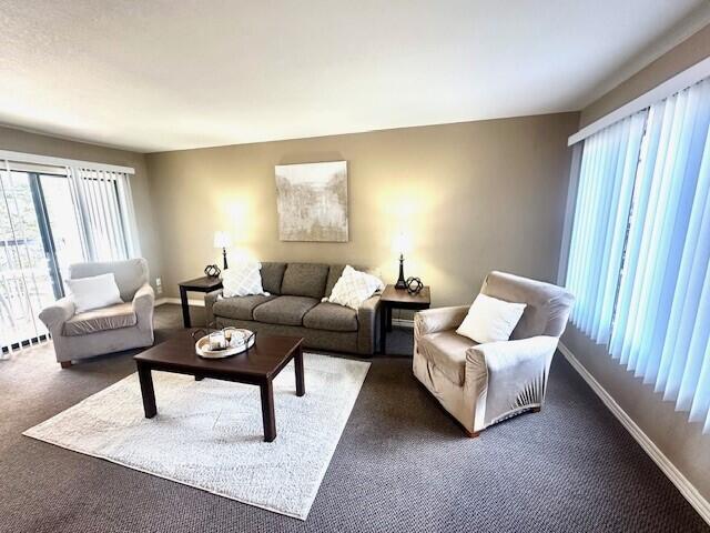 living room featuring dark carpet and a baseboard heating unit