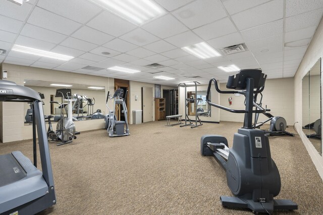 gym featuring carpet flooring and a drop ceiling