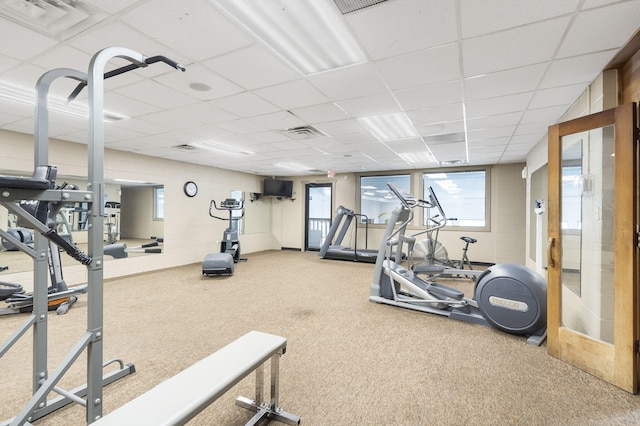 workout area featuring carpet and a paneled ceiling