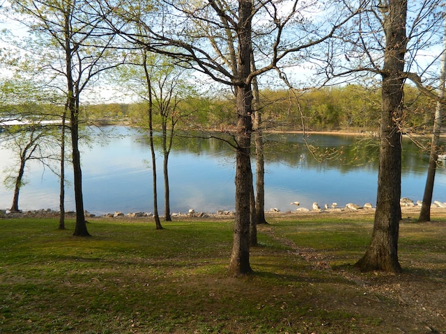 280 Tina St Unit 4, Hollister, MO 65672 - photo 5