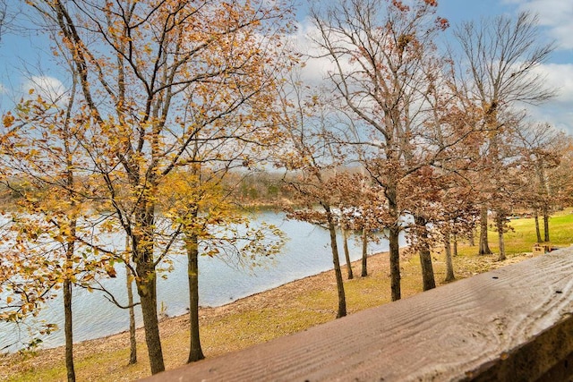 280 Tina St Unit 4, Hollister, MO 65672 - photo 21