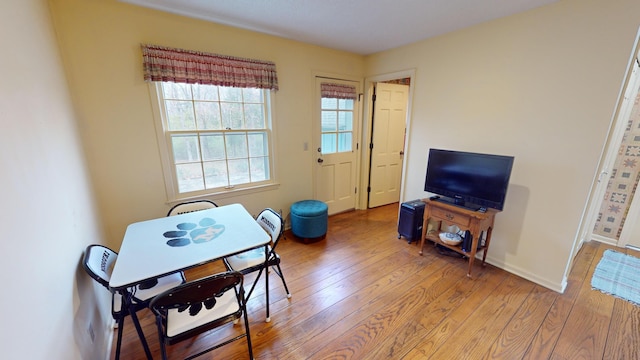 living room with wood-type flooring