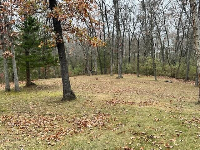 15047 E Peace Rd, Nevada, MO 64772 - view of tree filled area