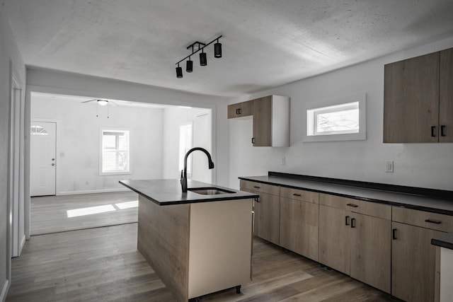 kitchen with track lighting, a textured ceiling, a kitchen island with sink, sink, and light hardwood / wood-style flooring