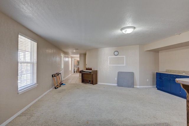 interior space with light colored carpet and a textured ceiling