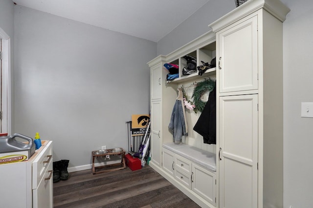 mudroom with dark hardwood / wood-style flooring