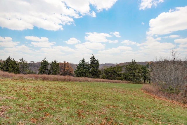 view of yard featuring a rural view