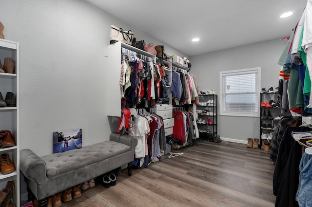 spacious closet featuring wood-type flooring