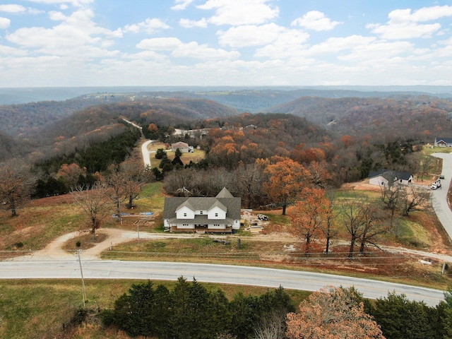 bird's eye view