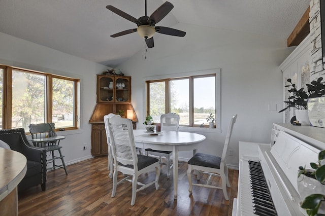 dining area with dark wood-type flooring, plenty of natural light, lofted ceiling, and ceiling fan