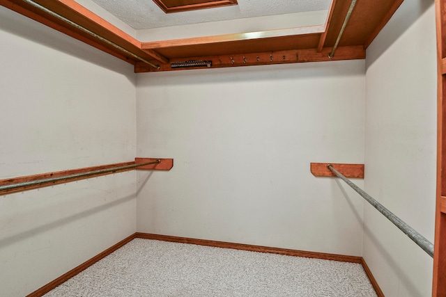 spacious closet with light colored carpet