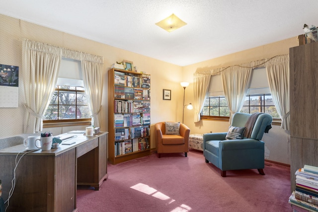 364 W Rd, Branson, MO 65616 - living area with carpet flooring and healthy amount of natural light