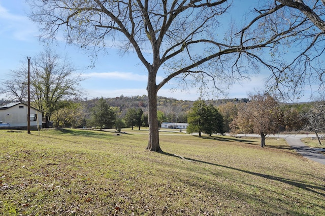 364 W Rd, Branson, MO 65616 - view of green lawn